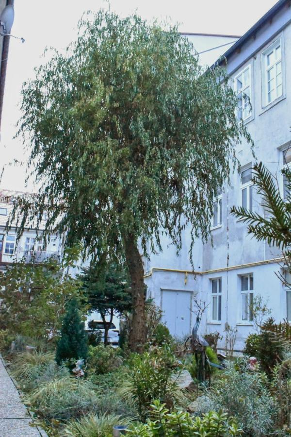 Old Town Bratislava 1Bdr Private Parking 브라티슬라바 외부 사진